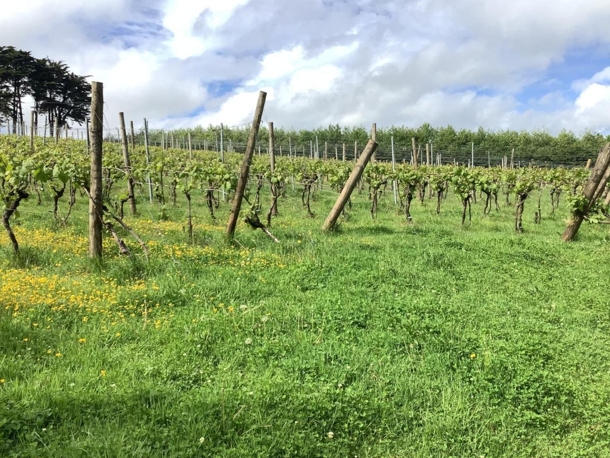 Polgoon Vineyard Annex Penzance Lejlighed Eksteriør billede
